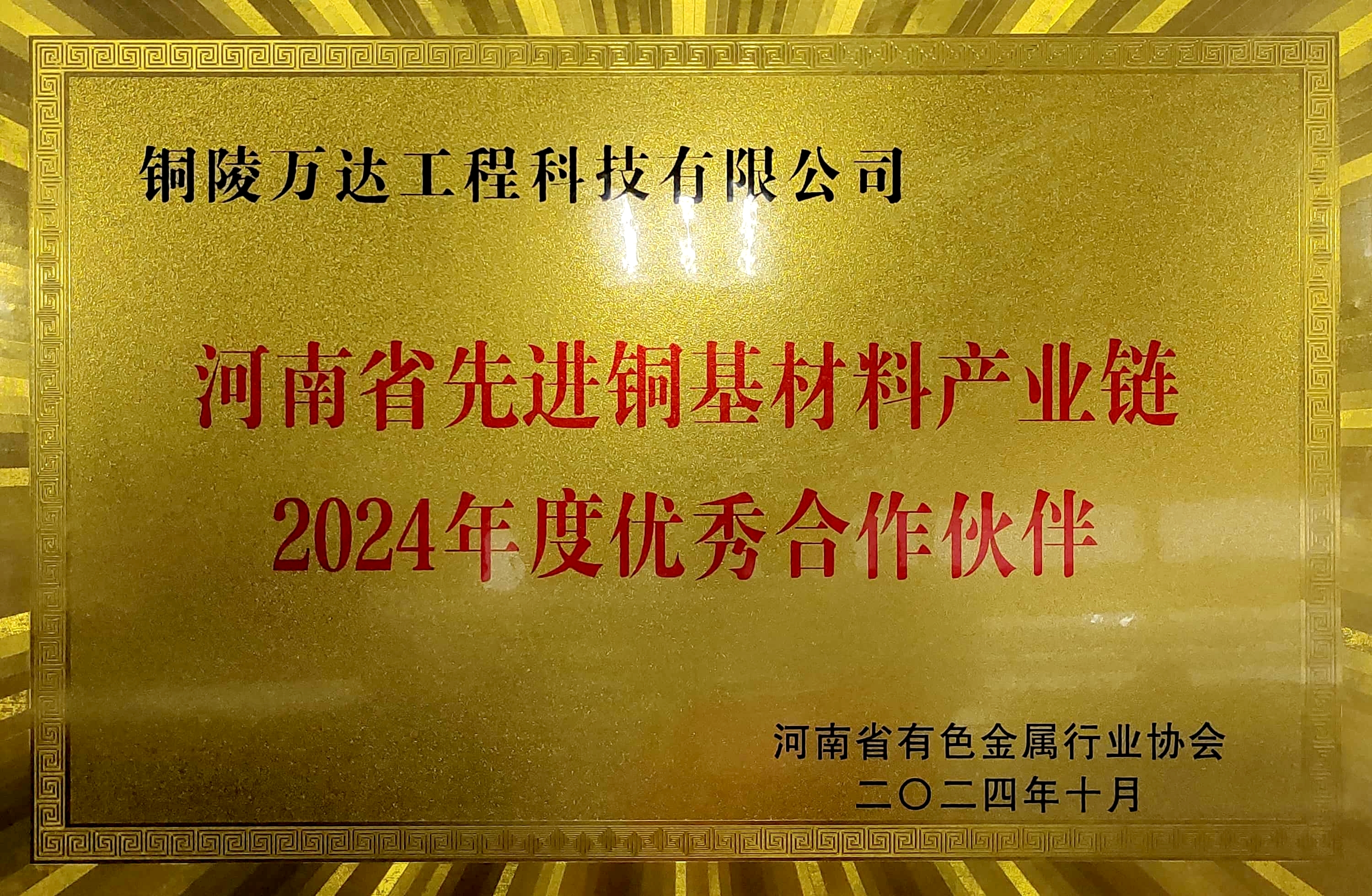 2024年年度優(yōu)秀合作伙伴